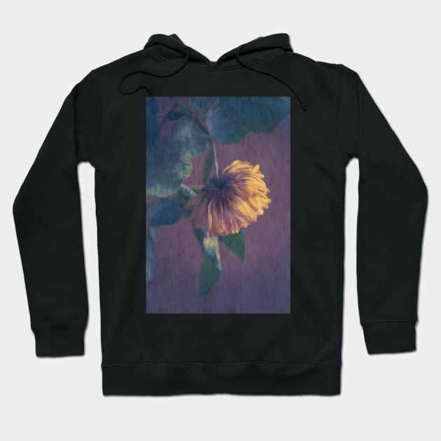 Petals II Hoodie by RJDowns